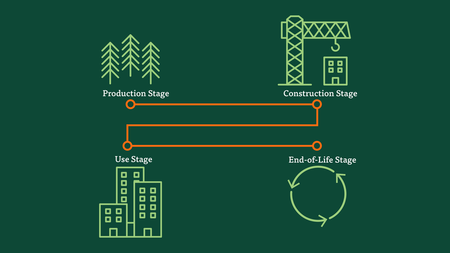 Life Cycle