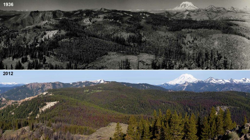 Bethel Ridge - patchwork forest (1936) / John Marshall Photography vs. overly dense forest (2012) / National Archives Seattle, WA