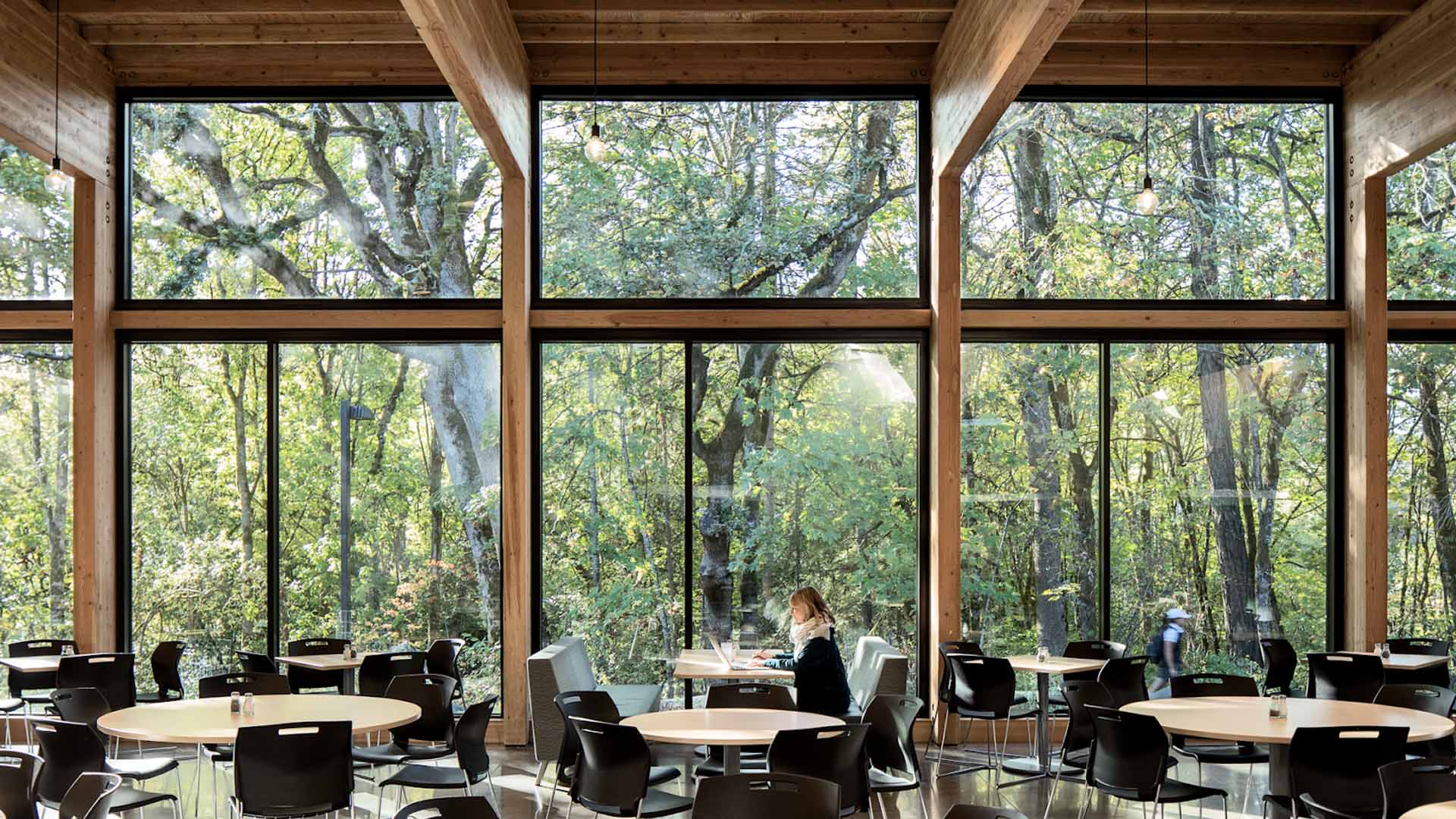 Canyon Commons photo - a large bank of windows in a mass timber building look out at a wooded area. a woman sits at a table in the foreground.