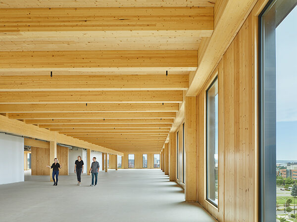 Interior of Building with Exposed Wood and Windows