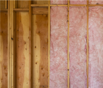 Wall Insulation