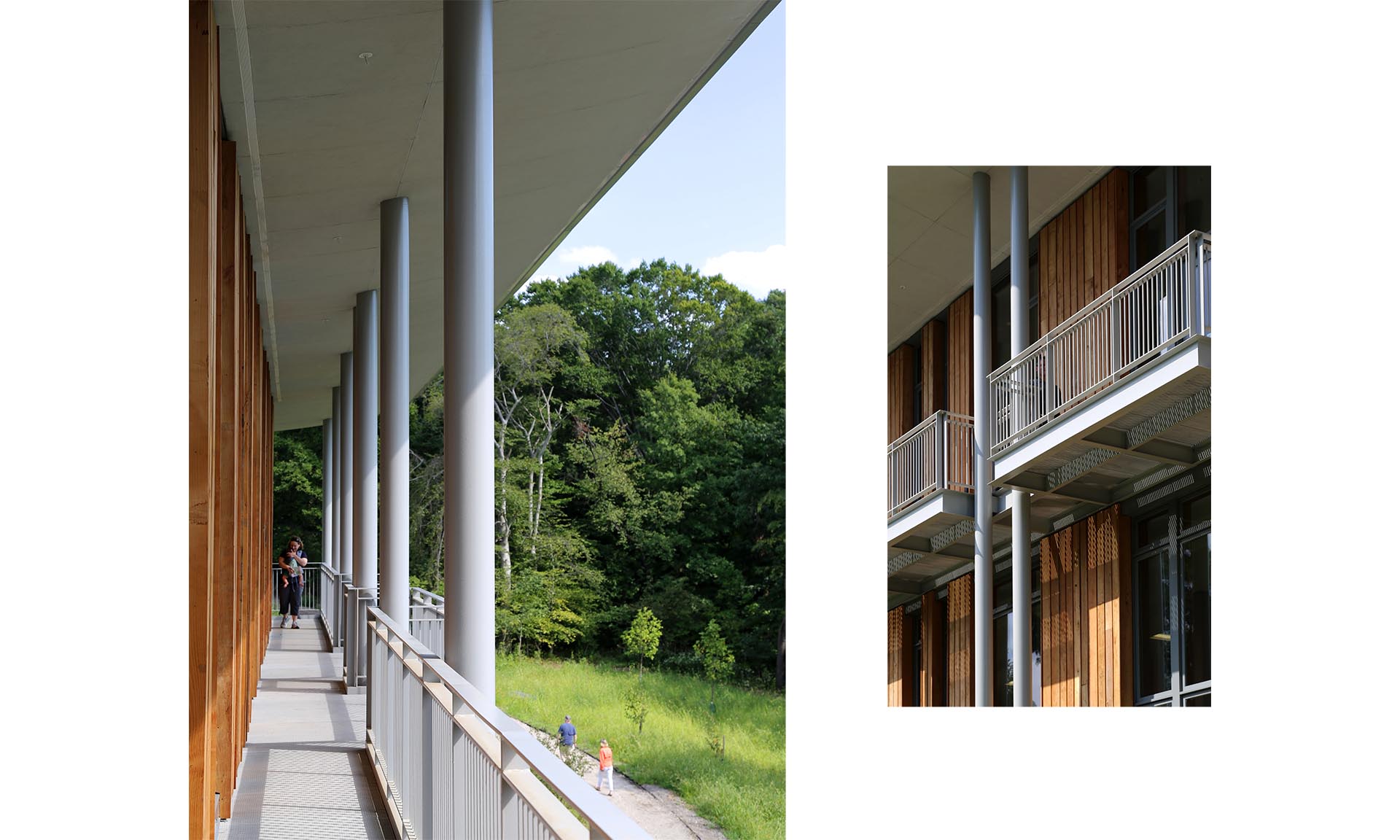 Frick Environmental Center exterior black locust siding