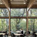 George Fox University Canyon Commons interior looking outside