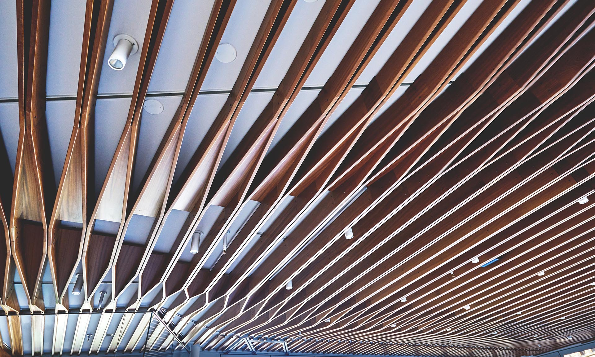 Lumen at Beacon Park louvered ceiling