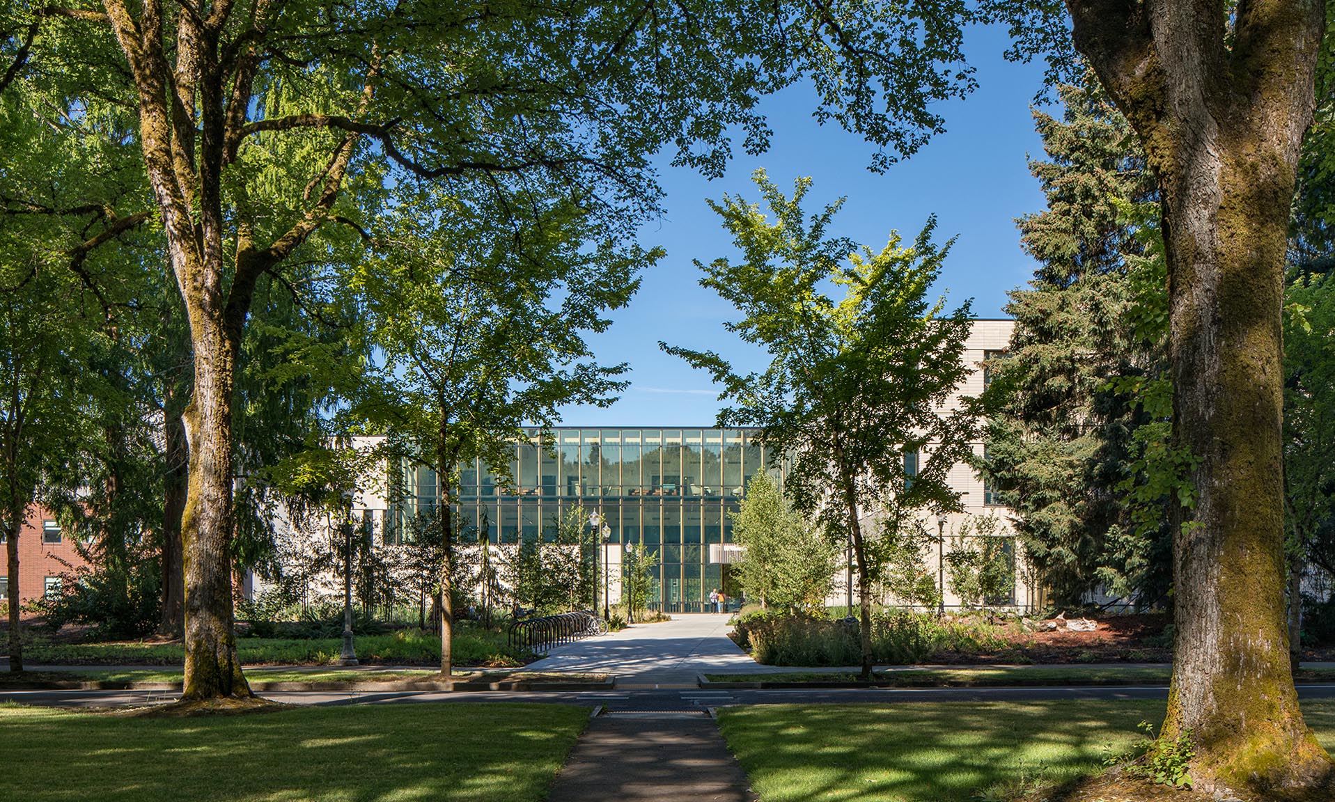 Oregon State University Forest Science Complex exterior view through trees