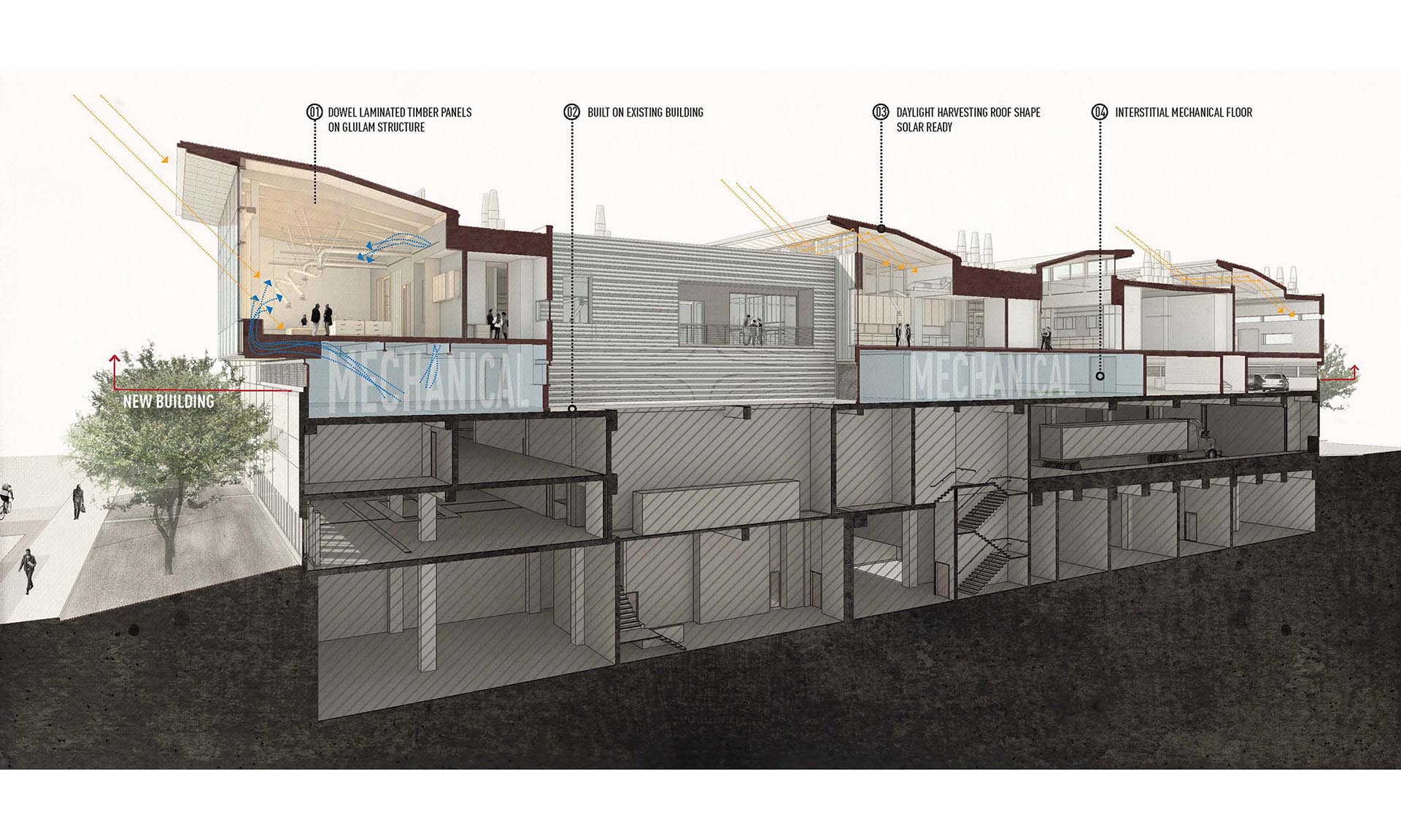 Sarah Campbell Blaffer Foundation Center for Conservation rendering