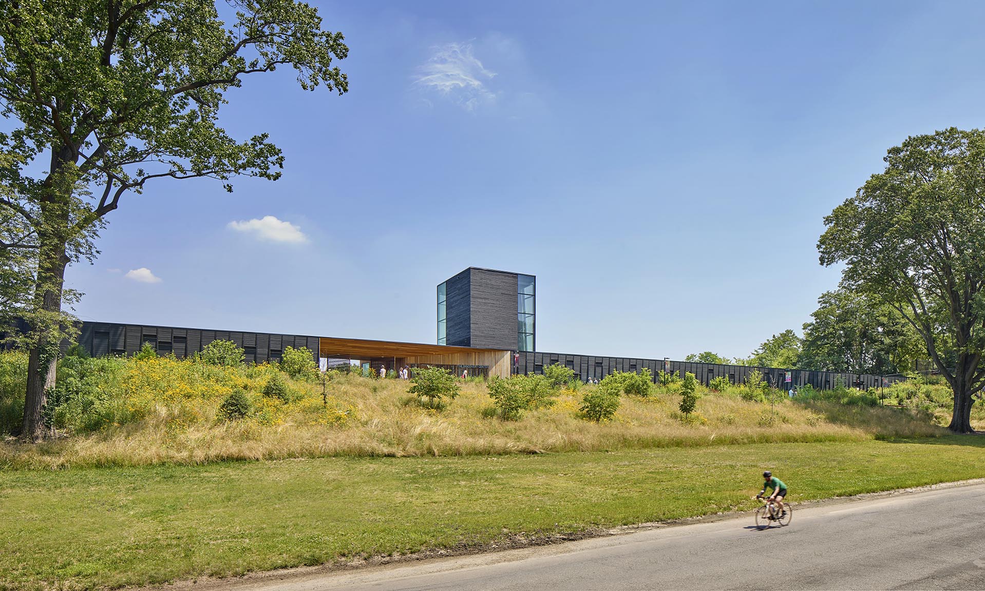 The Discovery Center exterior landscape