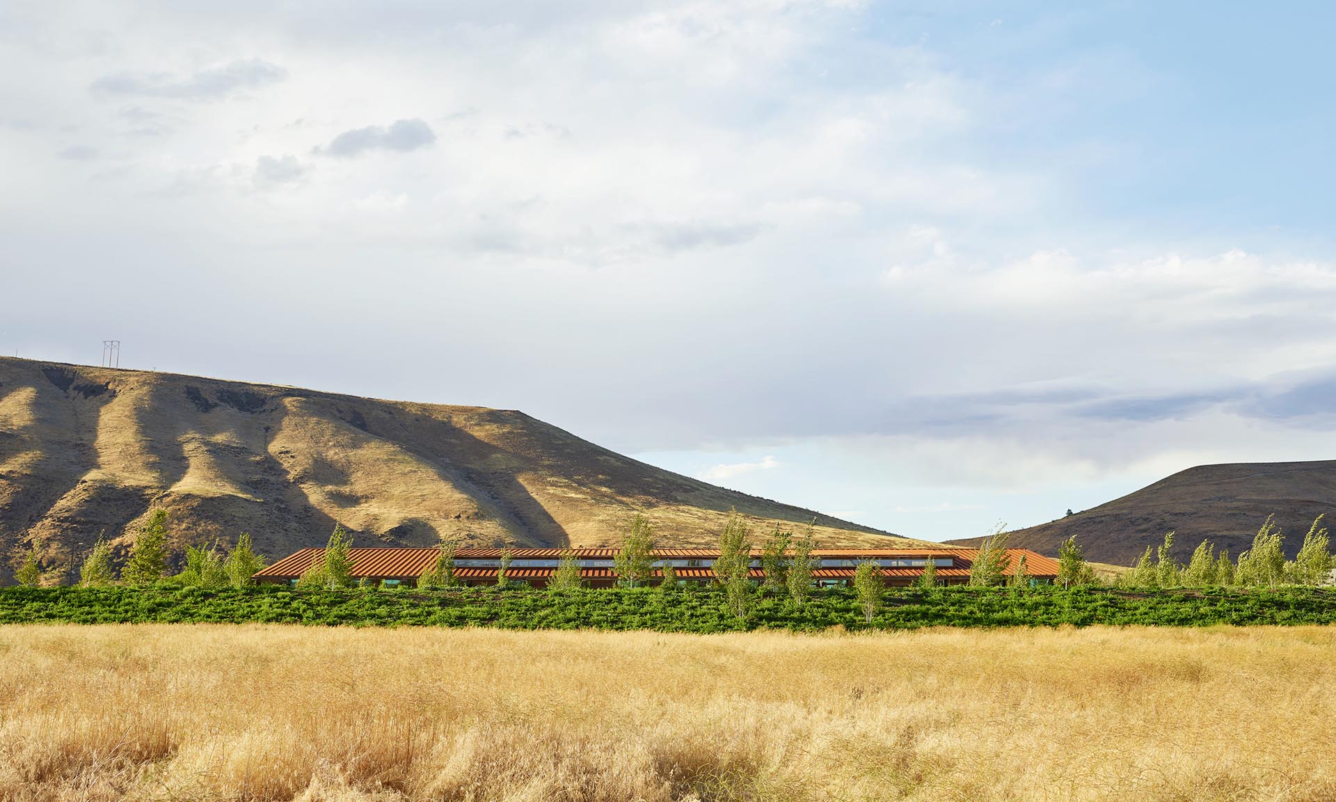 Washington Fruit & Produce Company landscape