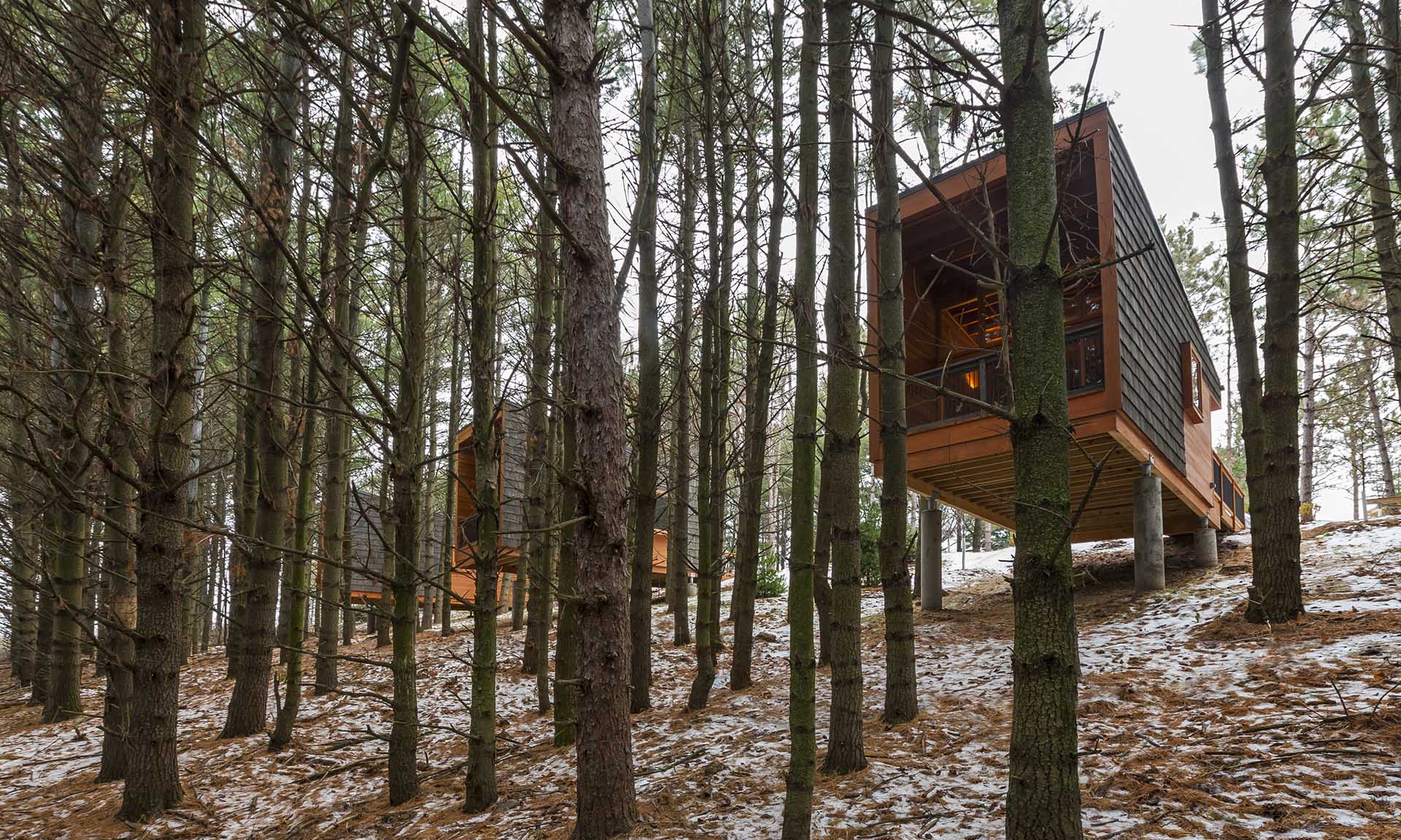 Whitehall Woods Regional Park cabin