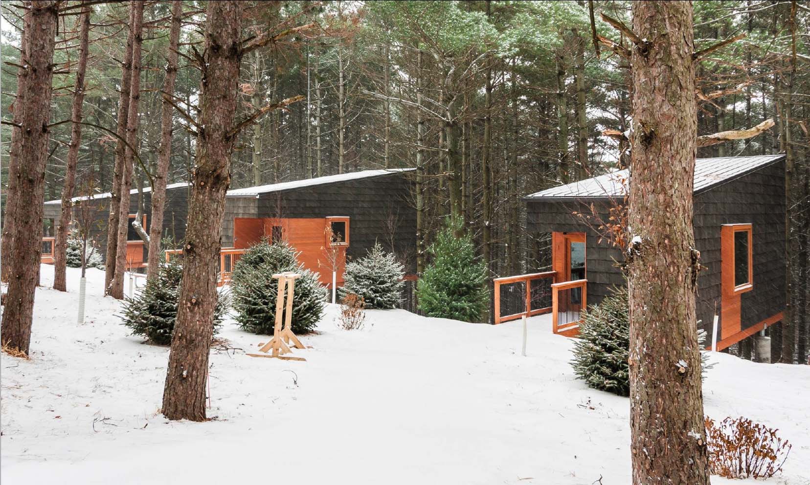 Whitehall Woods Regional Park cabin